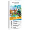Set de 12 feutres Tombow France & Benelux Abt Dual Primaires