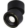 Kit luminaire LED SPIRCLE 38° en saillie noir 8W Paulmann
