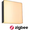 Paulmann Applique d'extérieur LED Azalena zigbee, 2200K, noir