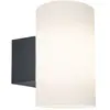 Applique murale extérieure Paulmann  94186 E27 15 W anthracite