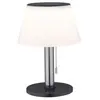 Lampe solaire PAULMANN Lillesol IP44 3000K 100lm