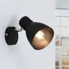 Paulmann Spotlight Davy 1-Flammig Max. 1x20W E27 Noir sans ampoules