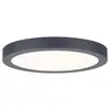 Paulmann Panneau led abia rond 300mm 22w 2200lm 2700k gris foncé