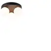 Paulmann Plafonnier Gove IP44 G9 230V Max. 3x20w Matt noir dimmable, satin
