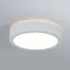 Paulmann Panneau led aviar ip44 rond 220mm 13w 950lm 4000k blanc gradable