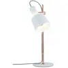 Lampe PAULMANN Neordic Haldar max 1x20W E14 Blanc