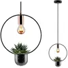 Paulmann Lampe à suspension Tasja plantes lampe 1 Lumière noire / cuivre 797,48