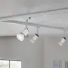 Paulmann réflecteur LED GU10 7 W 4 000 K 36°