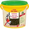 3800mL Sera Koi Color Nature Large - Nourriture pour poisson