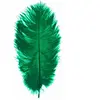 Lot de 5 Plumes d'Autruche Spadona 50cm, Vert