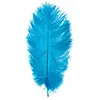 Lot de 5 Plumes d'Autruche Spadona 50cm, Turquoise