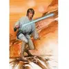 Spielwaren DISNEY: STAR WARS, FEARLESS , 1000 STUKJES