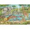 Umbreit Les animaux d'Afrique (60 pièces)