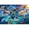 Puzzle - SCHMIDT - Animaux de l'Arctique - 150 pièces - Pour enfant de 7 ans et plus