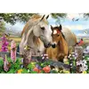 Schmidt Spiele 56421 Mare and Foal, 150 Pieces Children's Puzzle
