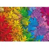 Schmidt Spiele- Leaf Puzzle coloré 1500 pièces, 58993, Multicolore