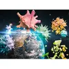 Schmidt Spiele 58963 Planet Terre 2020 Puzzle 1000 pièces
