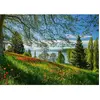 Schmidt Spiele Puzzle 1000 pièces - Tulipes en fleurs : Île de Mainau