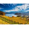 Puzzle - Schmidt - Vignobles - 2000 Pièces - 58953