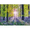 Tapis de Campanules dans les Bois 1000 Pièces  Schmidt Spiele