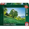 Schmidt Spiele Puzzle 1000 pièces : Érable sycomore au soleil Saint-Gall, Suisse