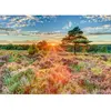 Schmidt Spiele 59768 Puzzle de 1000 pièces de bruyère au Coucher du Soleil, Multicolore