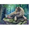 Schmidt Spiele La Fée et son Loup