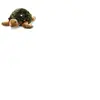 Steiff Tortue Slo
