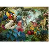 Puzzle 1000 pièces - HEYE - Diversité des oiseaux - Animaux - Adulte - Intérieur