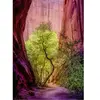 Heye Singing Canyon Puzzle 1000 pièces Orange