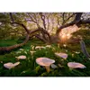 Puzzle 1000 pièces Heye Calla Clearing