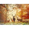 Heye - PUZZLE 1000 pièces - MAGIC FOREST STAGS