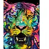 Puzzle Heye Jolly Pets Wild Tiger 1000 pièces