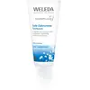 Weleda, Soins bucco-dentaires, Dentifrice au sel, Sans fluor, Menthe poivrée, 75 ml (75ml)