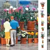 Modélisme : Set de pots avec fleurs Busch