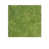 Busch Environnement - BUE7371 - Modélisme Ferroviaire - Herbage Vert Printemps - UV