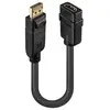 Lindy - Adaptateur vidéo - DisplayPort mâle pour HDMI femelle - 0.15 m - noir