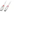 Lindy - Câble usb usb 2.0 usb-a mâle, usb-b mâle 0.20 m transparent 41750 C231791