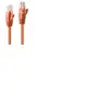 LINDY 48107 Câble réseau Cat.6 U/UTP de 1 m, orange, 1 pièce
