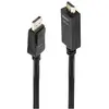 LINDY Câble DisplayPort vers HDMI 4K30 (DP:passif) - 1m