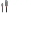 LINDY Adaptateur USB C vers DisplayPort 36895 150 cm Noir
