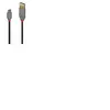 Lindy - Câble usb usb 2.0 usb-a mâle, usb-c® mâle 1.00 m noir 36886