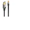 LINDY Câble DisplayPort vers Mini DisplayPort Cromo - 2m