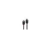Lindy Black Line - Cable DisplayPort - DisplayPort pour DisplayPort - 2 m