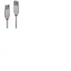 Lindy Anthra Line - rallonge de cable USB - USB pour USB - 20 cm