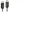 Lindy - Cable DisplayPort - DisplayPort pour DisplayPort - 30 m