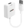 LINDY Convertisseur HDMI vers DisplayPort 4K