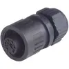 Cosse cylindrique mâle Série (connecteur rond): CA Hirschmann CA 3 LD 934 125-100-1 femelle, droit Nombre total de pôle