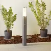 Albert Leuchten Sublime borne lumineuse Elvio avec détecteur