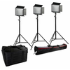 Bresser 3x SH-1200 + tas + 3 statieven 280cm en Sac de transport pour trépied